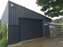 Claire Comerford After